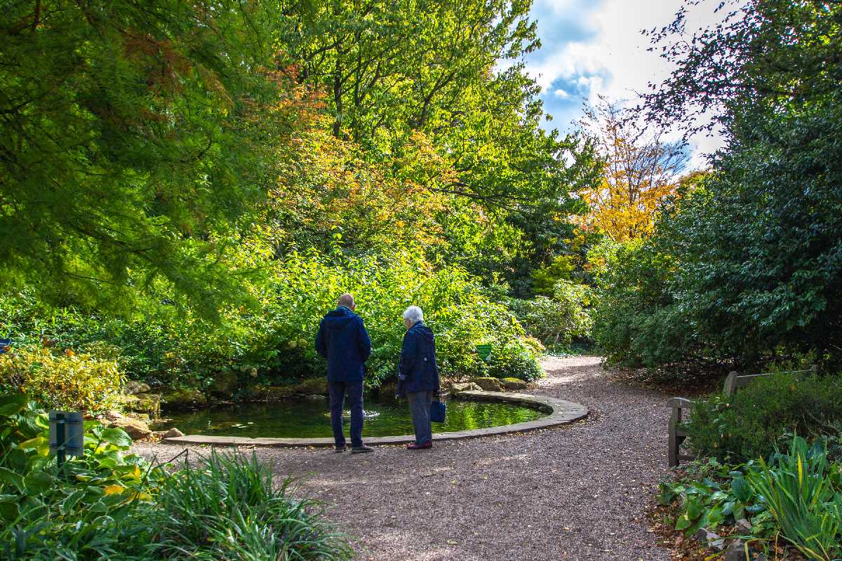Time to reflect by the pool in the memory garden. Birmingham Botanical Gardens.